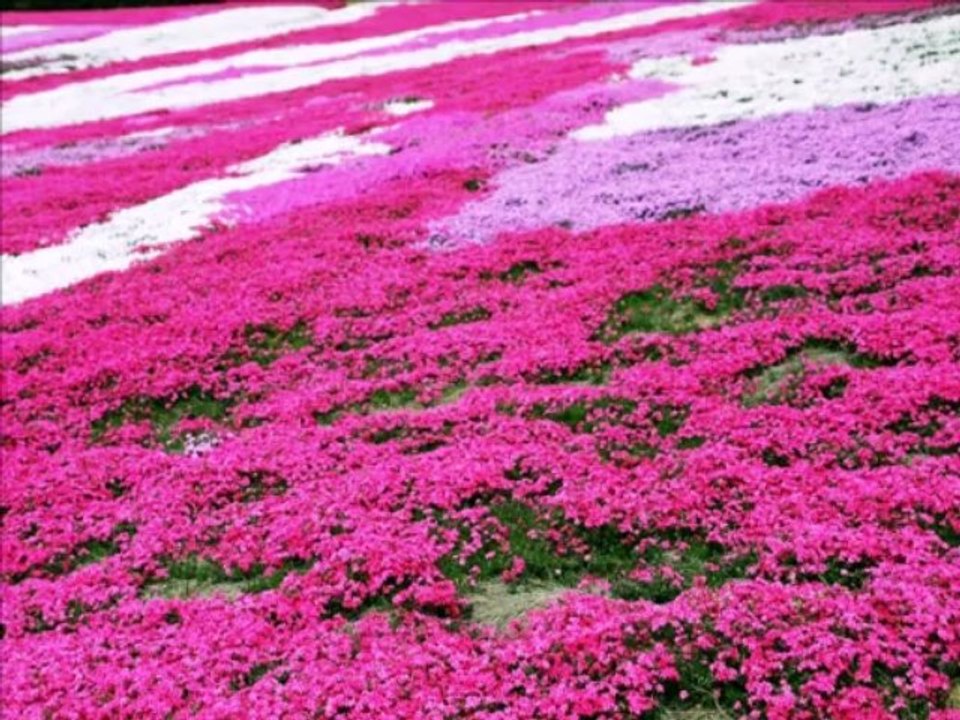 NICOLA DI BARI - La prima cosa bella - Karaoke