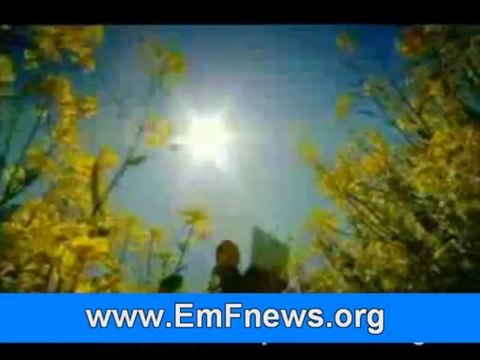 Radiation House Emf Radiation Protection, Radiofrequency Emissions