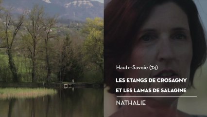 Les étangs de Crosagny et les Lamas de Salagine, le coup de cœur de Nathalie - Bienvenue chez vous !