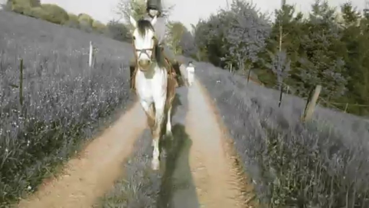 vidéo Taï 3