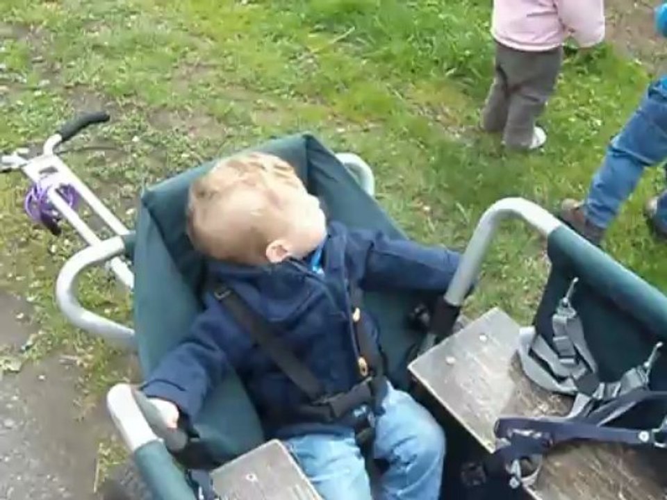 Geitjes kijken en aaien