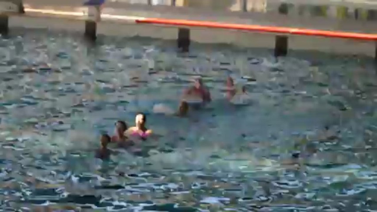 Natation synchronisée équipe loisir développement Hyères les Palmiers