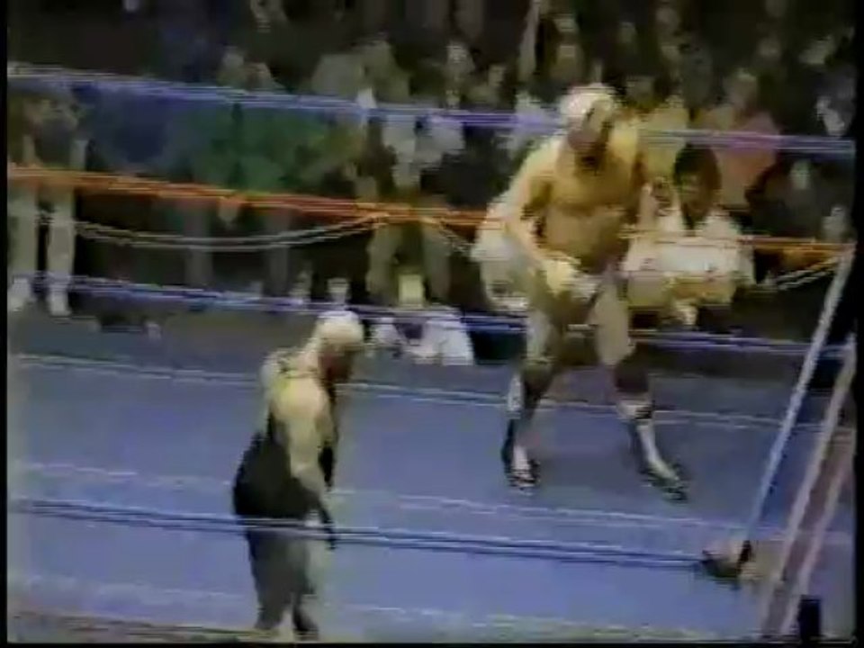 11/28/83 Nick Bockwinkel (c) vs. Mad Dog Vachon