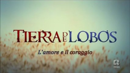 Nieves&Anibal Tribute