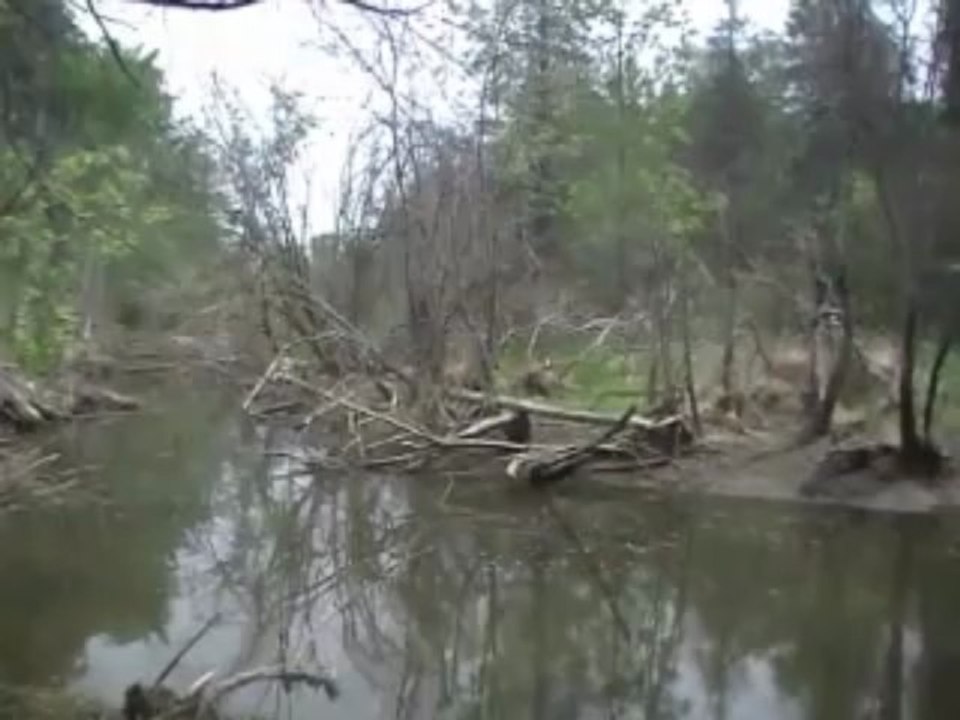 Down By the Riverside