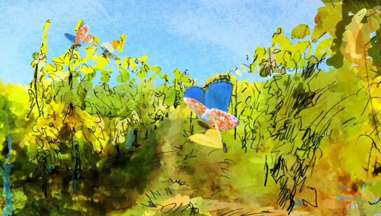 Les Vins d'Alsace Grands par Nature