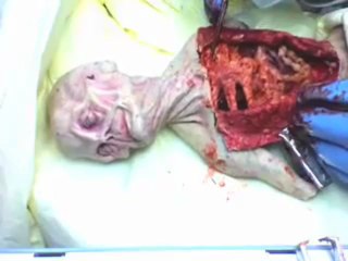 Alien Autopsy - YouTube