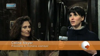 Découvrez le métier de vigneronne 🍇 – Vidéo à ne pas manquer!