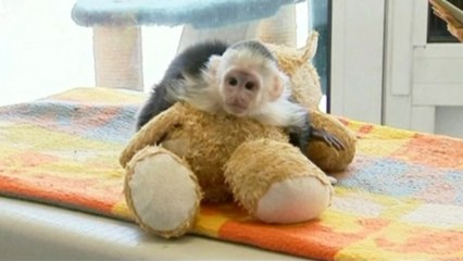 Justin Bieber parts with his monkey