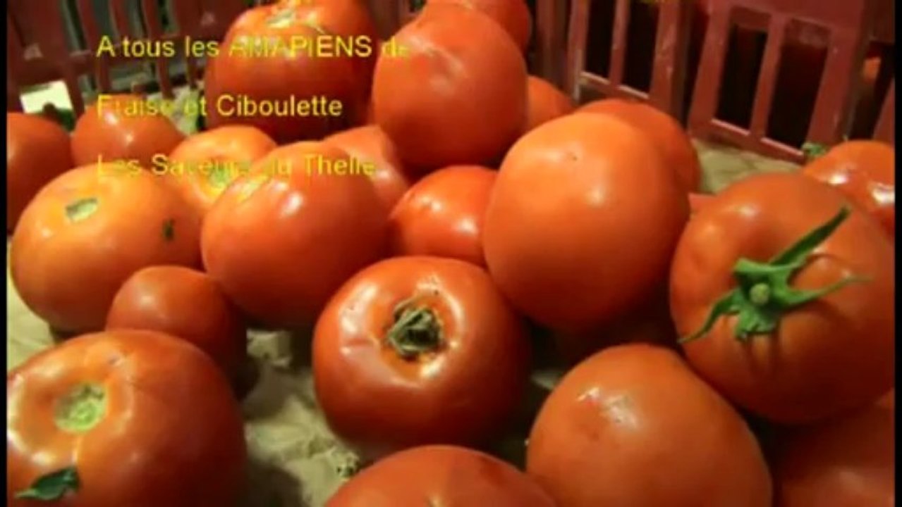 106 - Qu'est ce qu'une AMAP