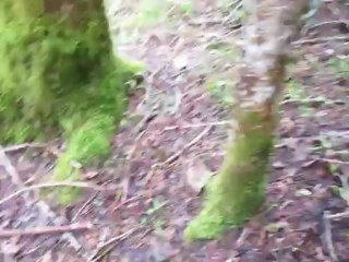 Quelques morilles noires