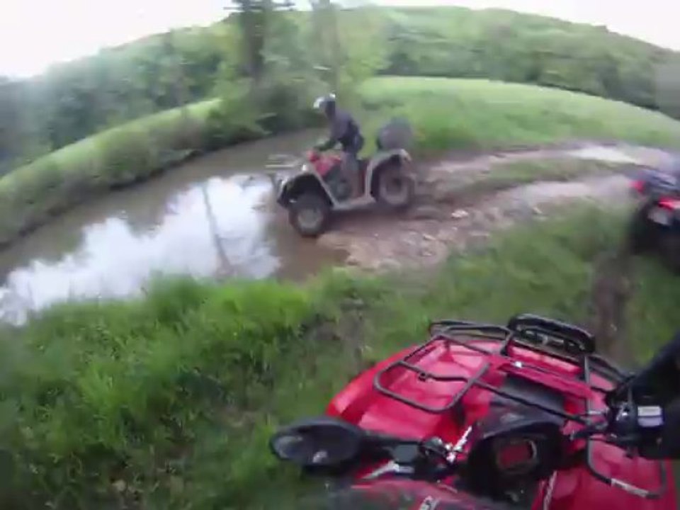 fab olive cedric yannick