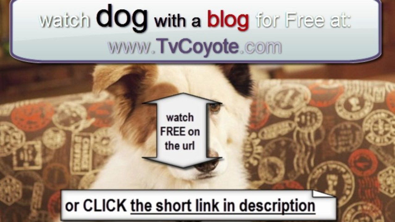 Dog With a Blog Season 1 Episode 15 - Avery's First Crush  HQ