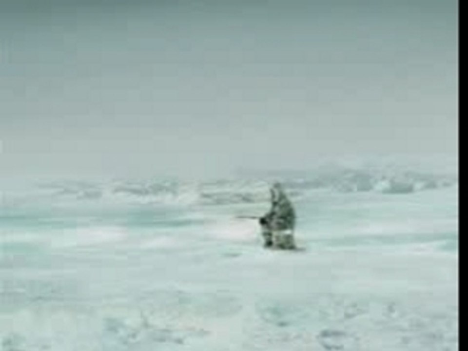 1132845997