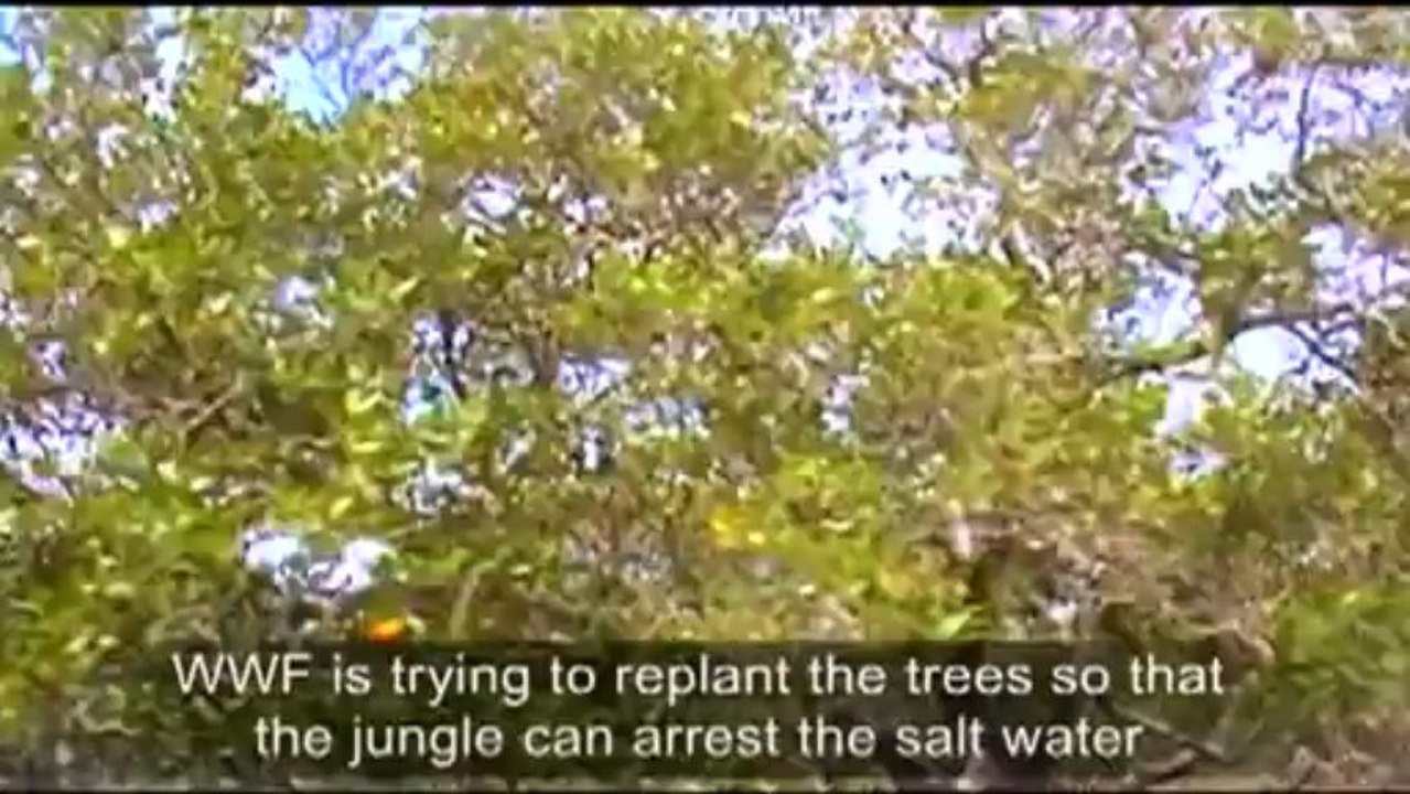 Indus For All - WWF
