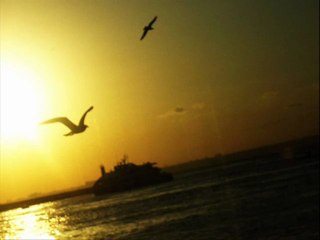 Beş Dakika Bekle Git - Attila İLHAN