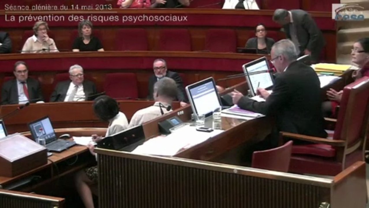 14 Mai 2013 : La prévention des risques psychosociaux - cese