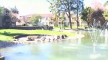 The Park Kiely Apartments in San Jose, CA - ForRent.com