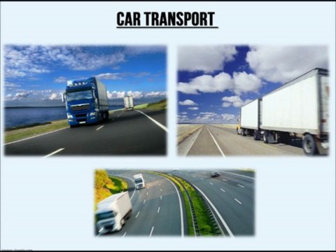 Florida local moving services and Moving Companies in Florida