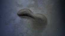 Rotating standing wave