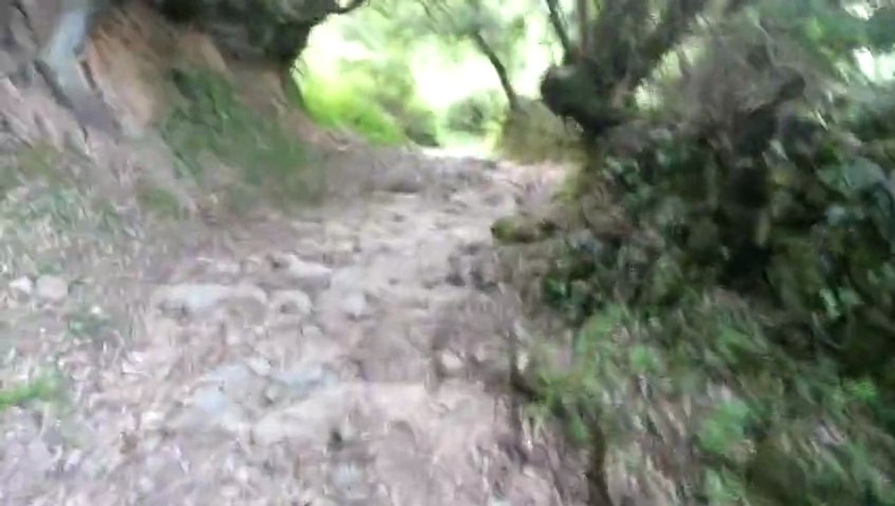 Petit Trail dans le Sartenais