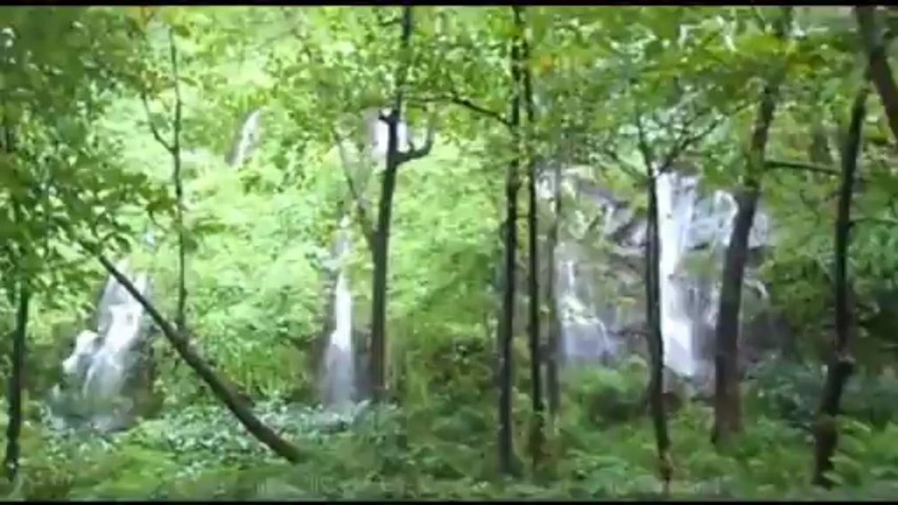 Balade two-beestique à l'Anse des Cascades (Reunion Island)