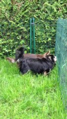 Dinyuma Souvenir Cheyenne IMG_0052