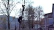 Un ours essaie d'attraper un Russe en haut d'un arbre
