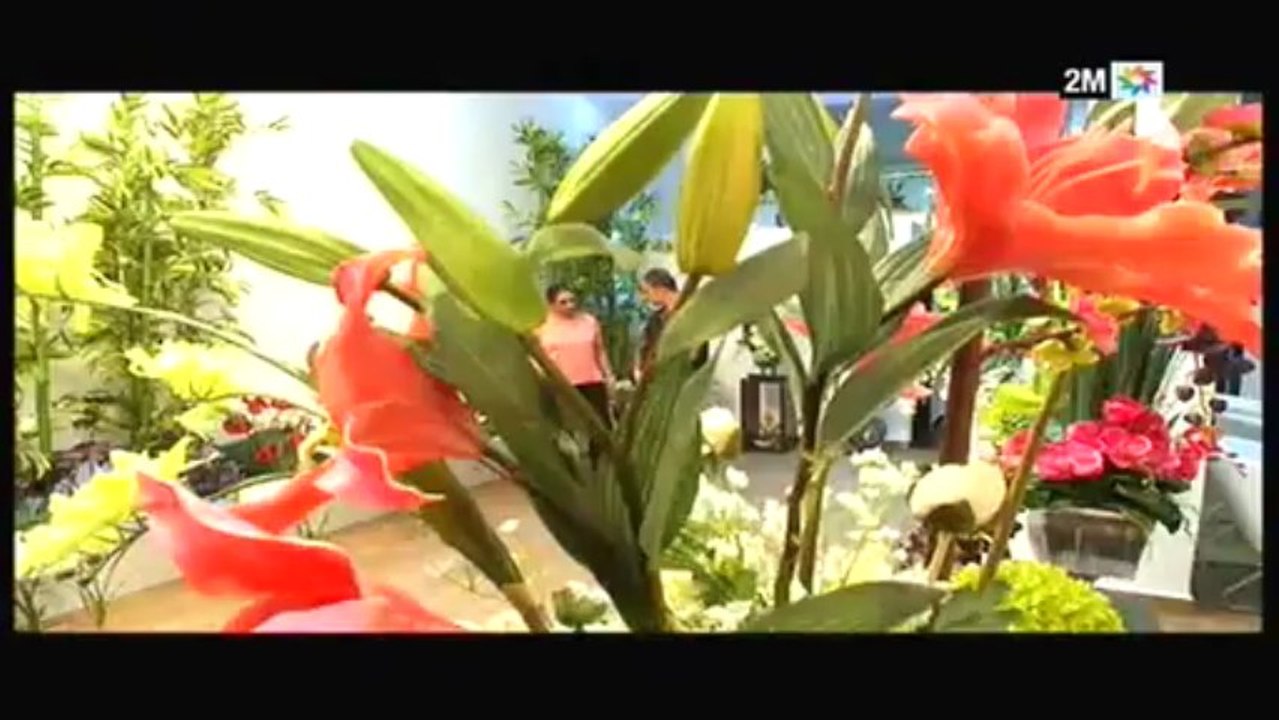 دار وديكور : الأحد 19 ماي