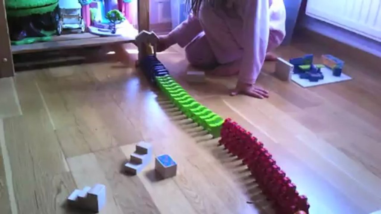 1305 domino rigolo