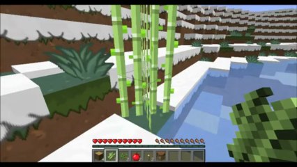 Minecraft survie aventure ep 1:Du bambous et du Bambous.