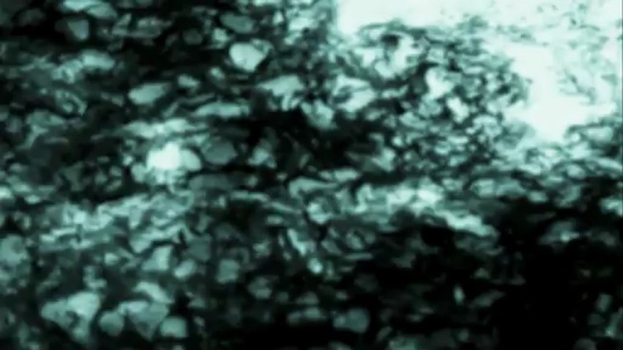 Jeannette Betancourt