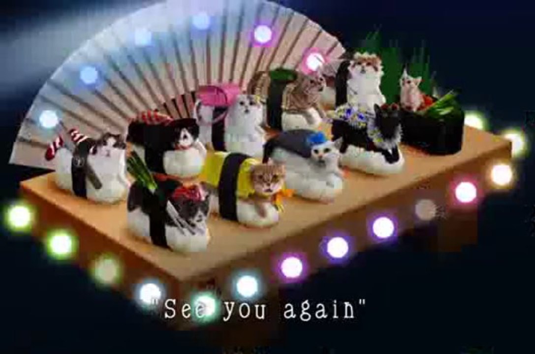 Des chats enroulés dans des sushis géants pour une publicité