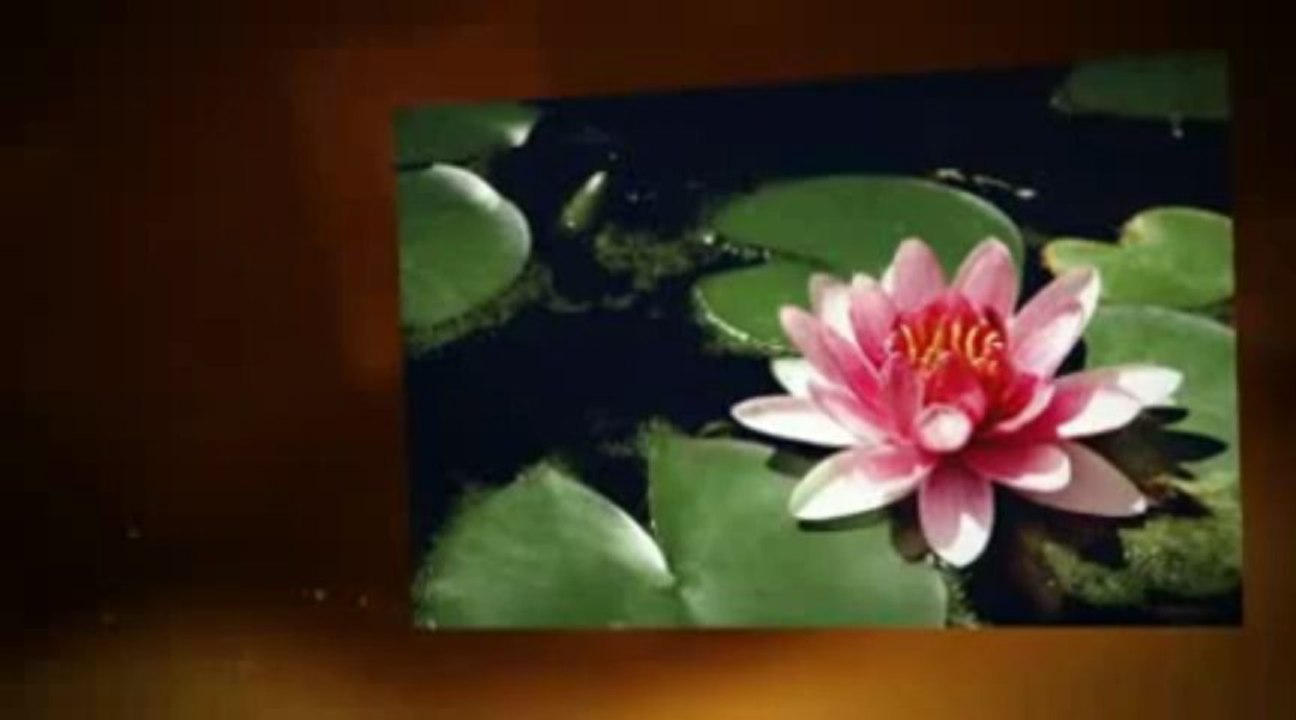 New CB Offer! Net Space Profits 3.0 Real $4.58 Epc's | New CB Offer! Net Space Profits 3.0 Real $4.58 Epc's