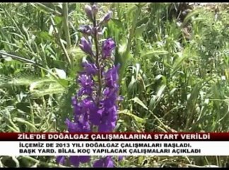 ZİLE DE DOĞALGAZ ÇALIŞMALARI BAŞLADI