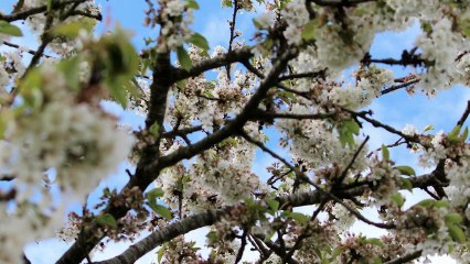 Canon EOS 650D : Démo par Cédric Belliard