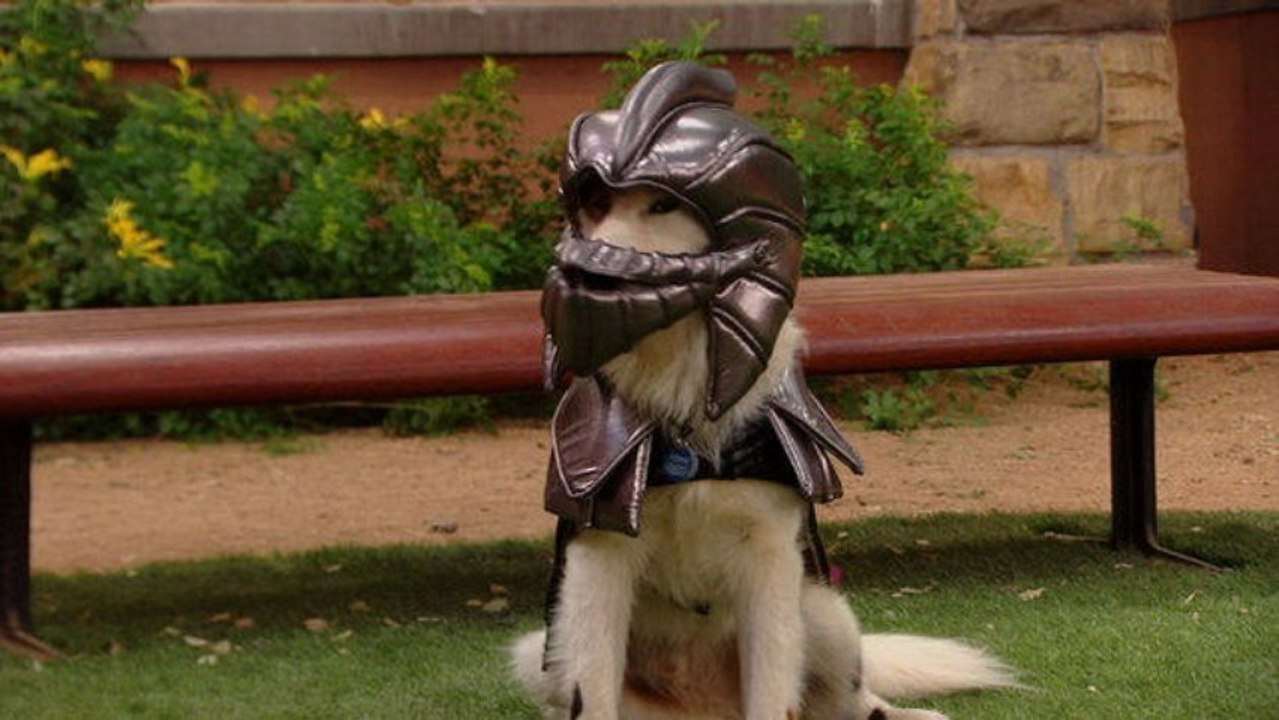 Dog With a Blog Season 1 Episode 14 - Crimes of the Art  Full Episode