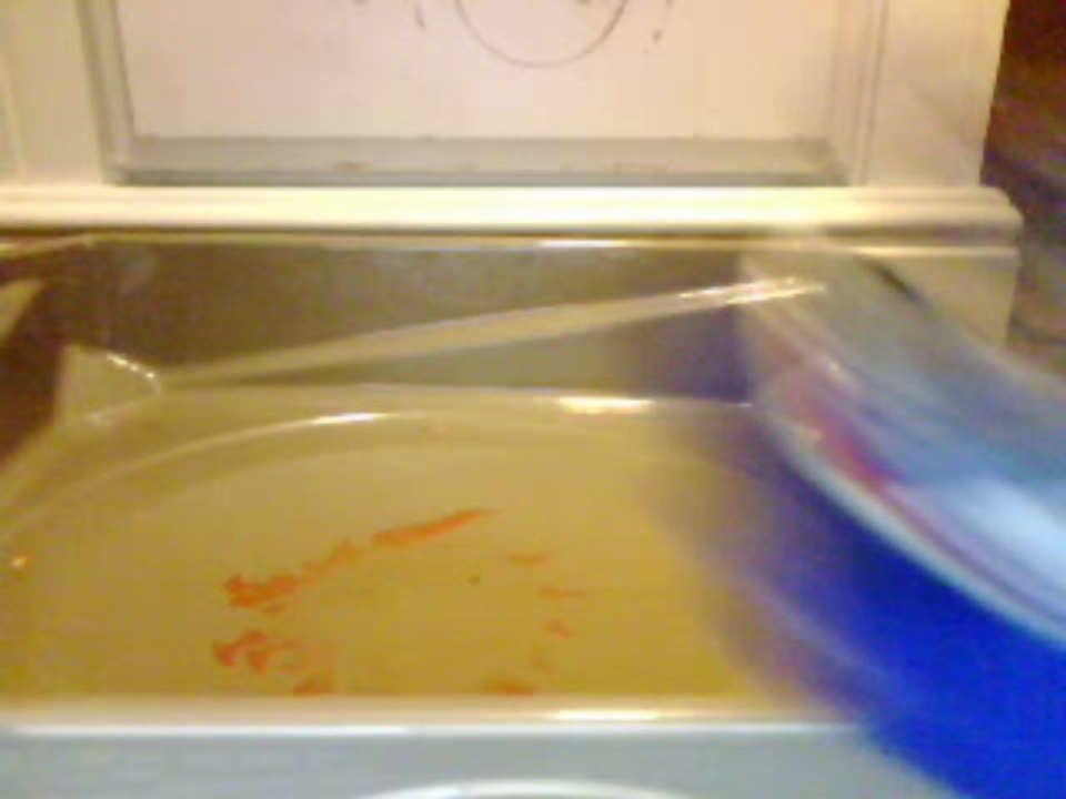 Big Bang Pegasis F:D V.s Diablo Nemisis XD