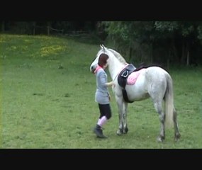 travail au sol et première réverence