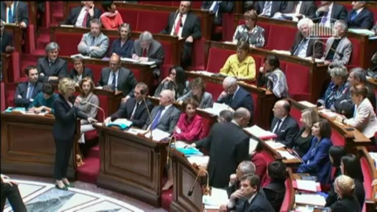 Le député Jacques Myard intervient en anglais et en allemand à l'Assemblée