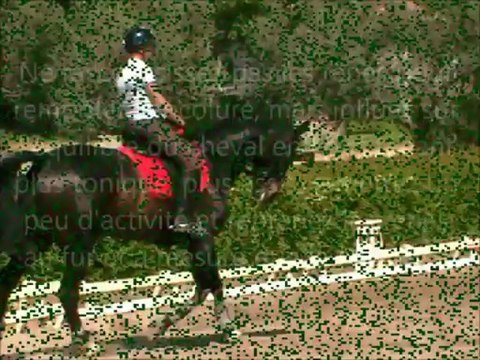 Laisser filer les rênes ou l'extension d'encolure