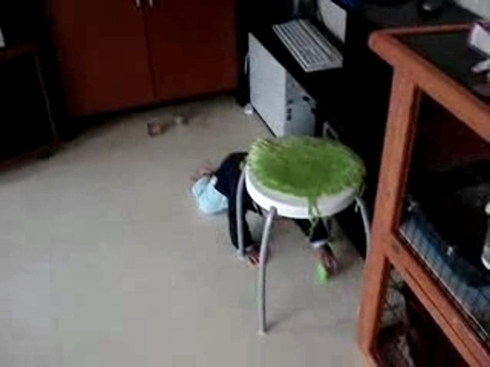 MOV00945