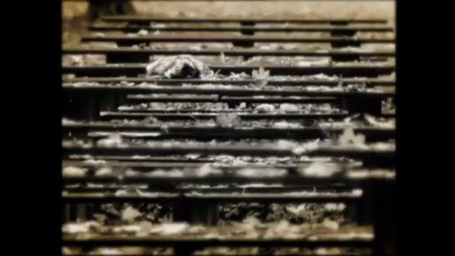 BAHA YALNIZLIK BENİM ESKİ SEVGİLİM 2013 HD KLİP by MELEKLERerkekOLUR