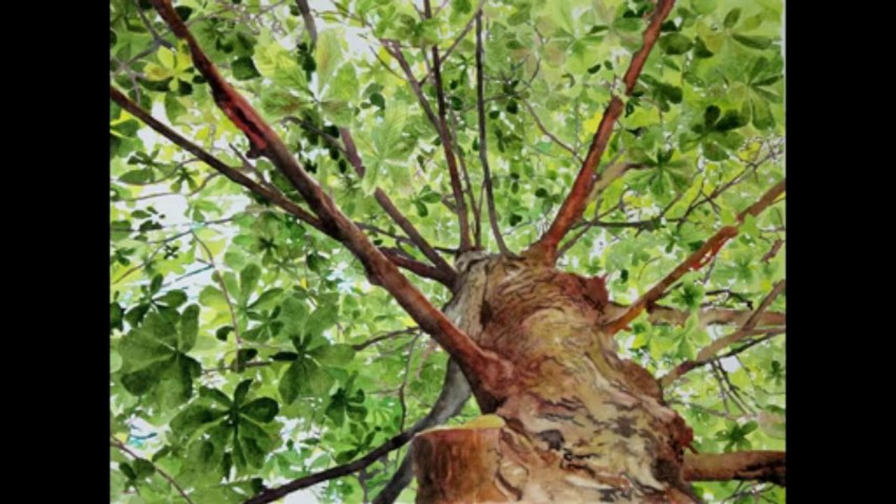 Painting trees and leaves with watercolor : Leaves Lace