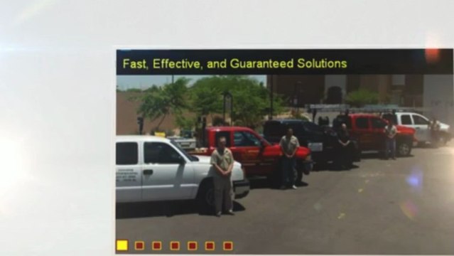 Pest Control Phoenix | Termites - (623) 877-0550 - AntEater Exterminating Inc