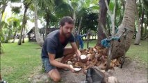 Eplucher la noix de coco