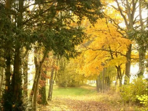 Chambres d'hôtes meublé de tourisme Haute-Saône