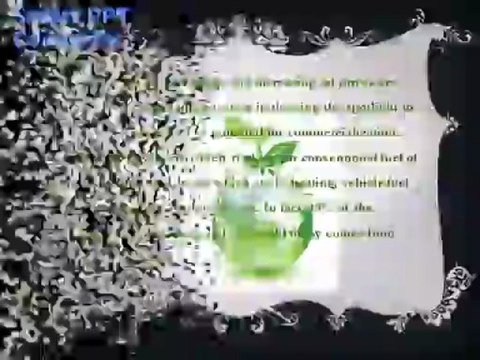 Jakarta Crown Capital Eco Management: Environmental Scam Prevention Watch