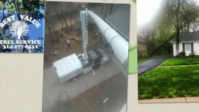 Best Value Tree Service - (314) 277-8551