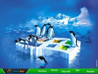 Hosting Nasıl Kullanılır